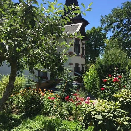 Turmvilla Vogtland Oelsnitz  Экстерьер фото