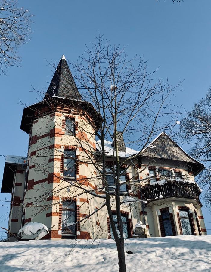 Turmvilla Vogtland